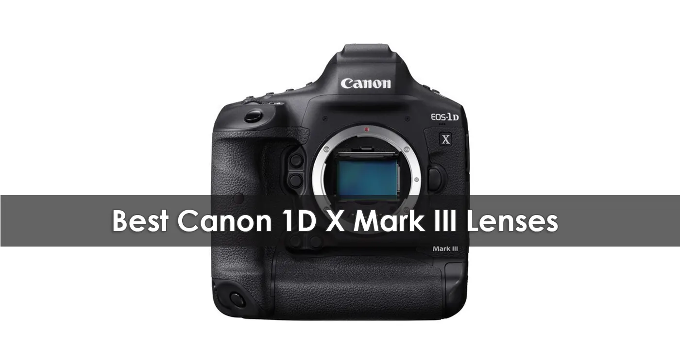 Best Canon 1D X Mark III Lenses in 2023