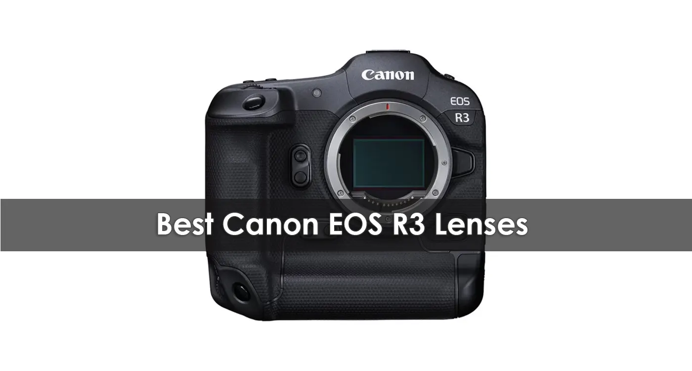 Best Canon EOS R3 Lenses in 2023