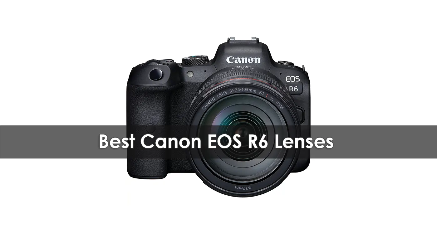 Best Canon EOS R6 Lenses in 2023