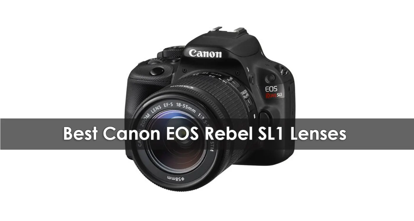 Best Canon EOS Rebel SL1 Lenses in 2023