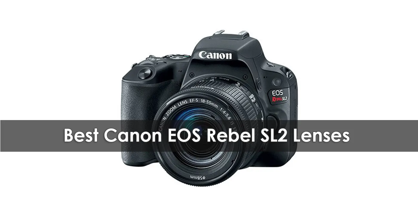 Best Canon EOS Rebel SL2 Lenses in 2023