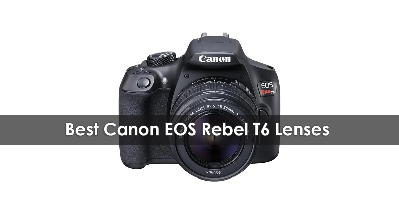 Best Canon EOS Rebel T6 Lenses in 2023