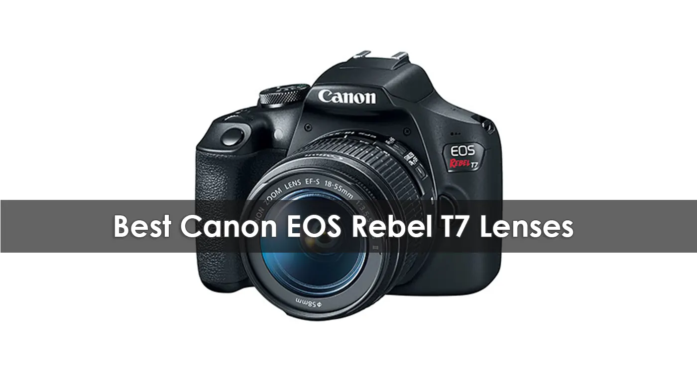 Best Canon EOS Rebel T7 Lenses in 2023