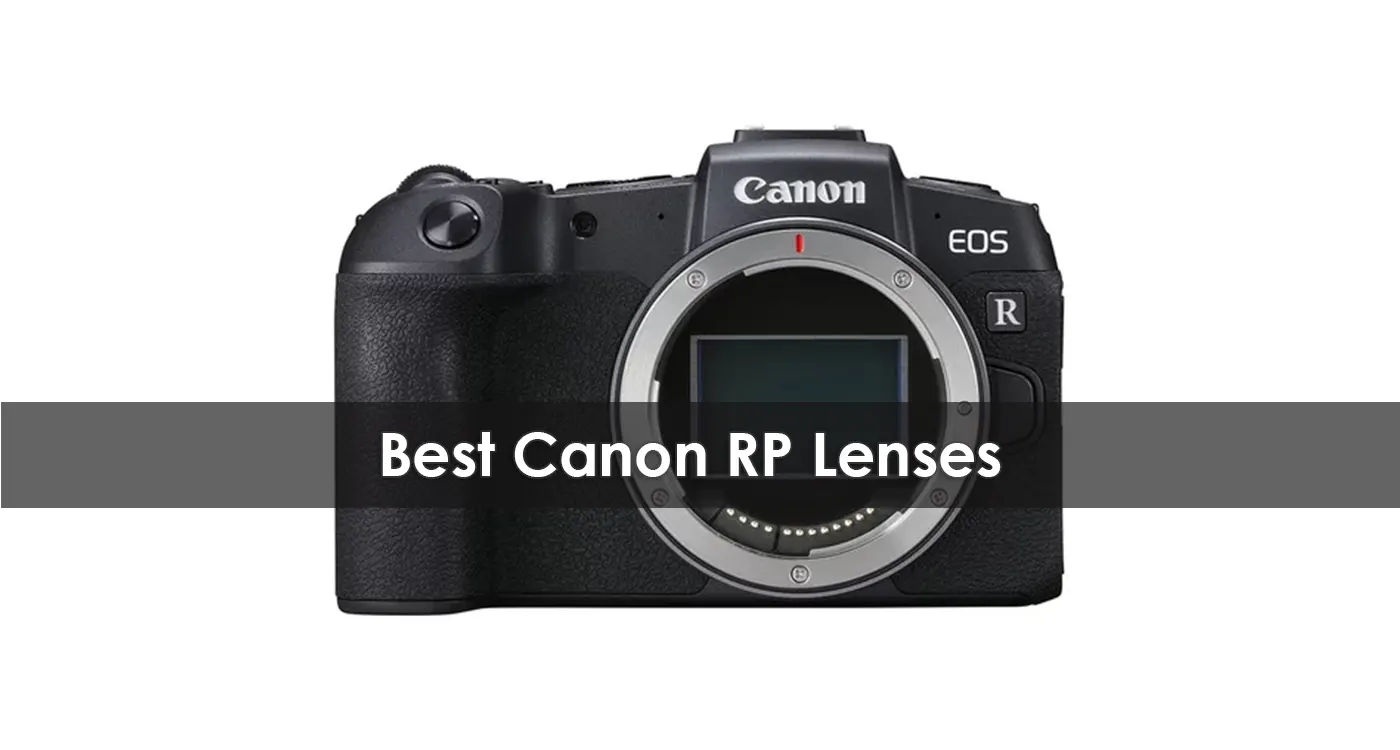 Best Canon RP Lenses in 2023