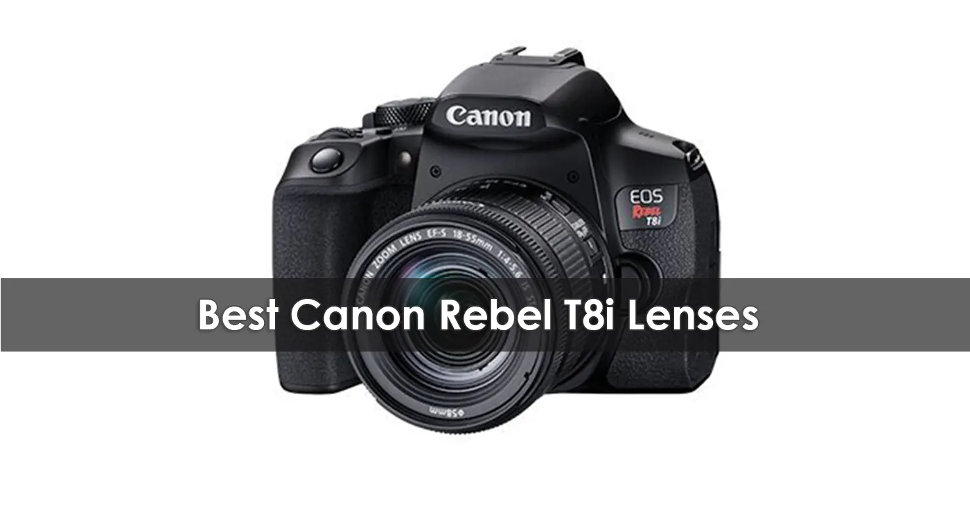 Best Canon Rebel T8i Lenses in 2023