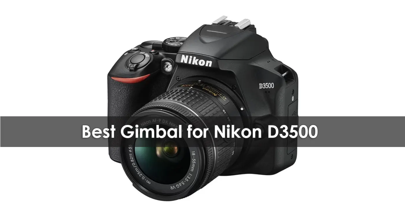 Best Gimbal for Nikon D3500 in 2023