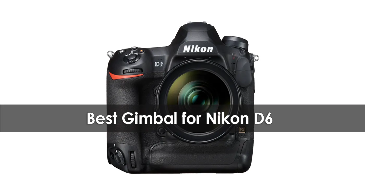 Best Gimbal for Nikon D6 in 2023