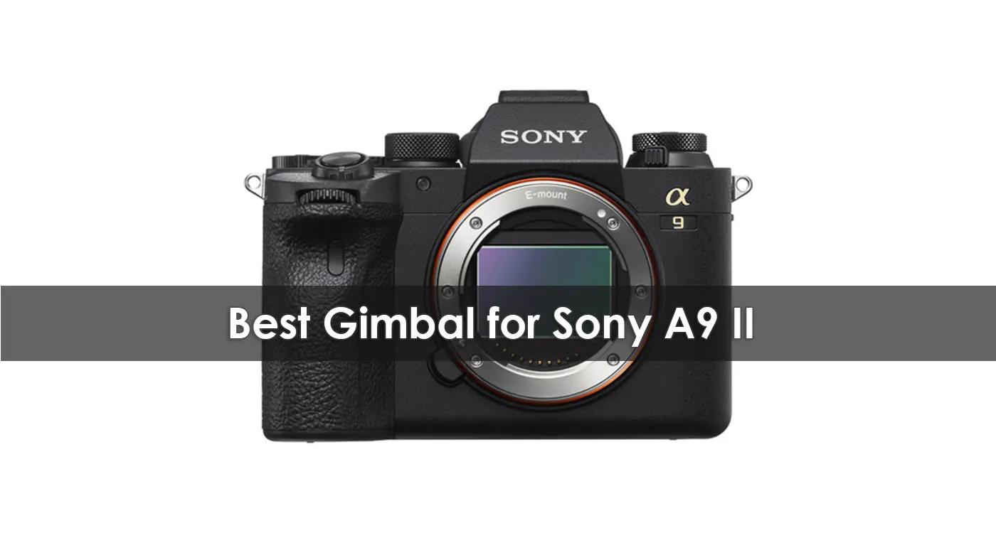 Best Gimbal for Sony A9 II in 2023