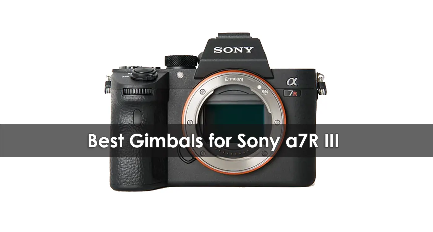 Best Gimbals for Sony a7R III in 2023