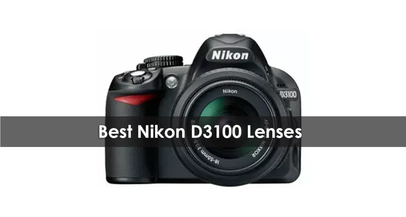 Best Nikon D3100 Lenses in 2023