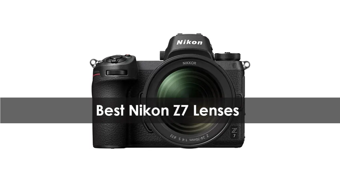 Best Nikon Z7 Lenses in 2023