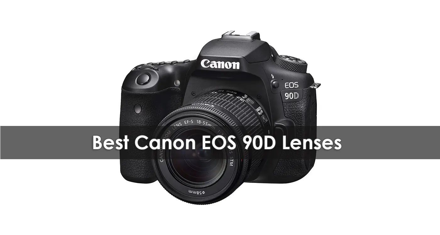 The Best Canon EOS 90D Lenses in 2023
