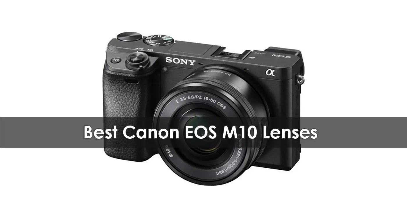 The Best Canon EOS M10 Lenses in 2023