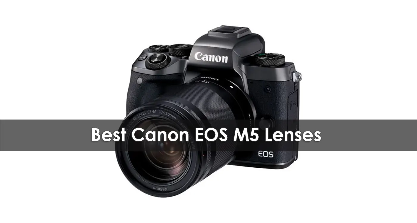 The Best Canon EOS M5 Lenses in 2023