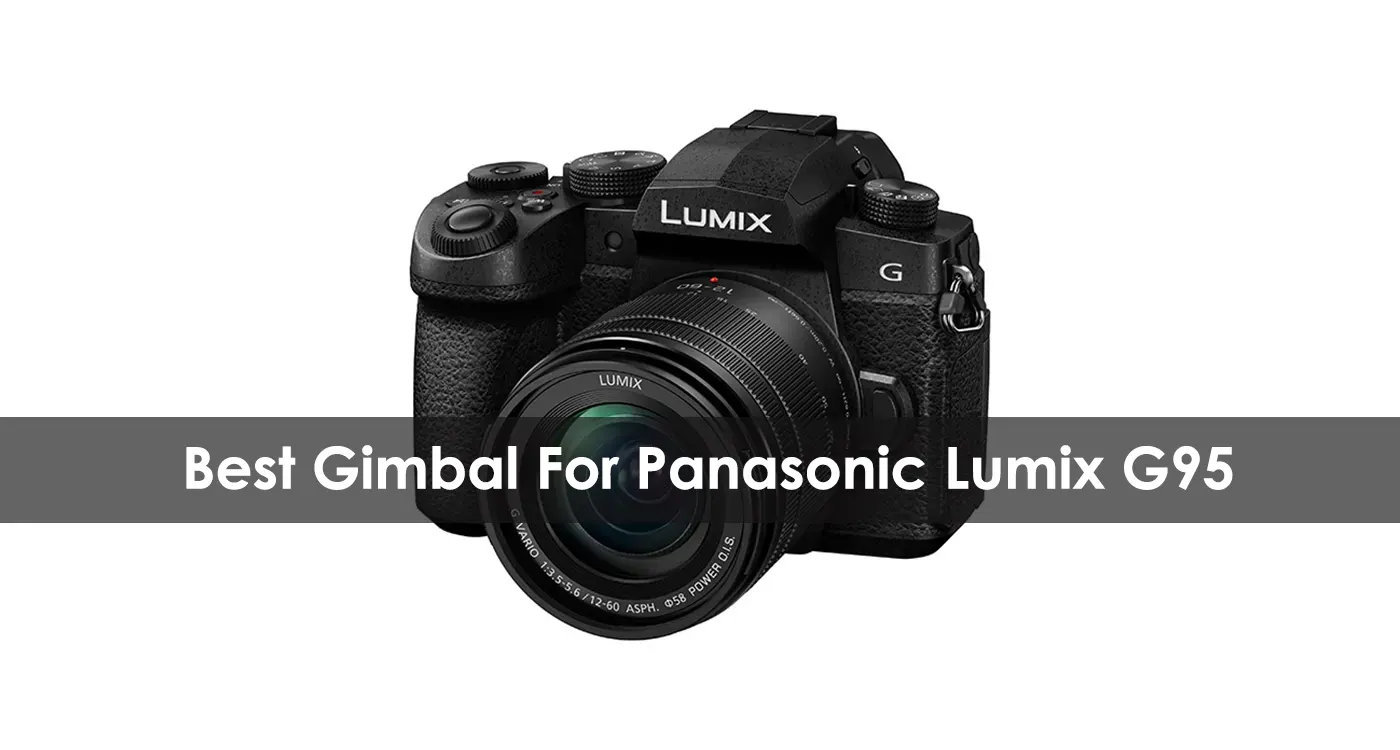 The Best Gimbal For Panasonic Lumix G95 in 2023