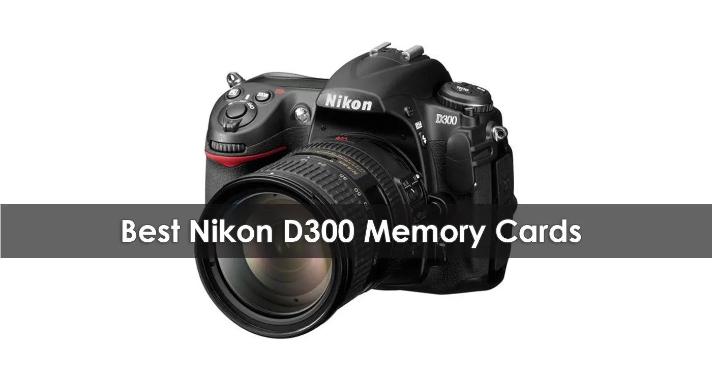 The Best Nikon D300 Memory Cards in 2023