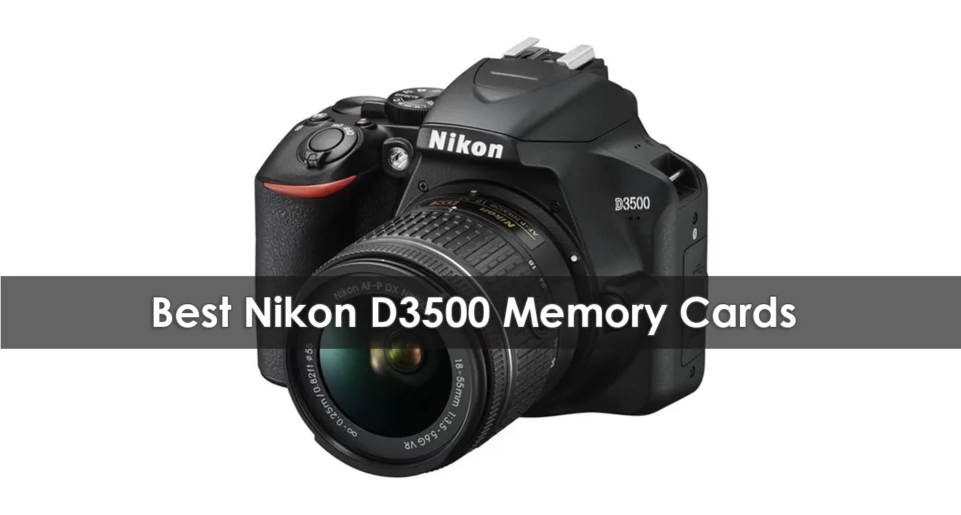 The Best Nikon D3500 Memory Cards in 2023