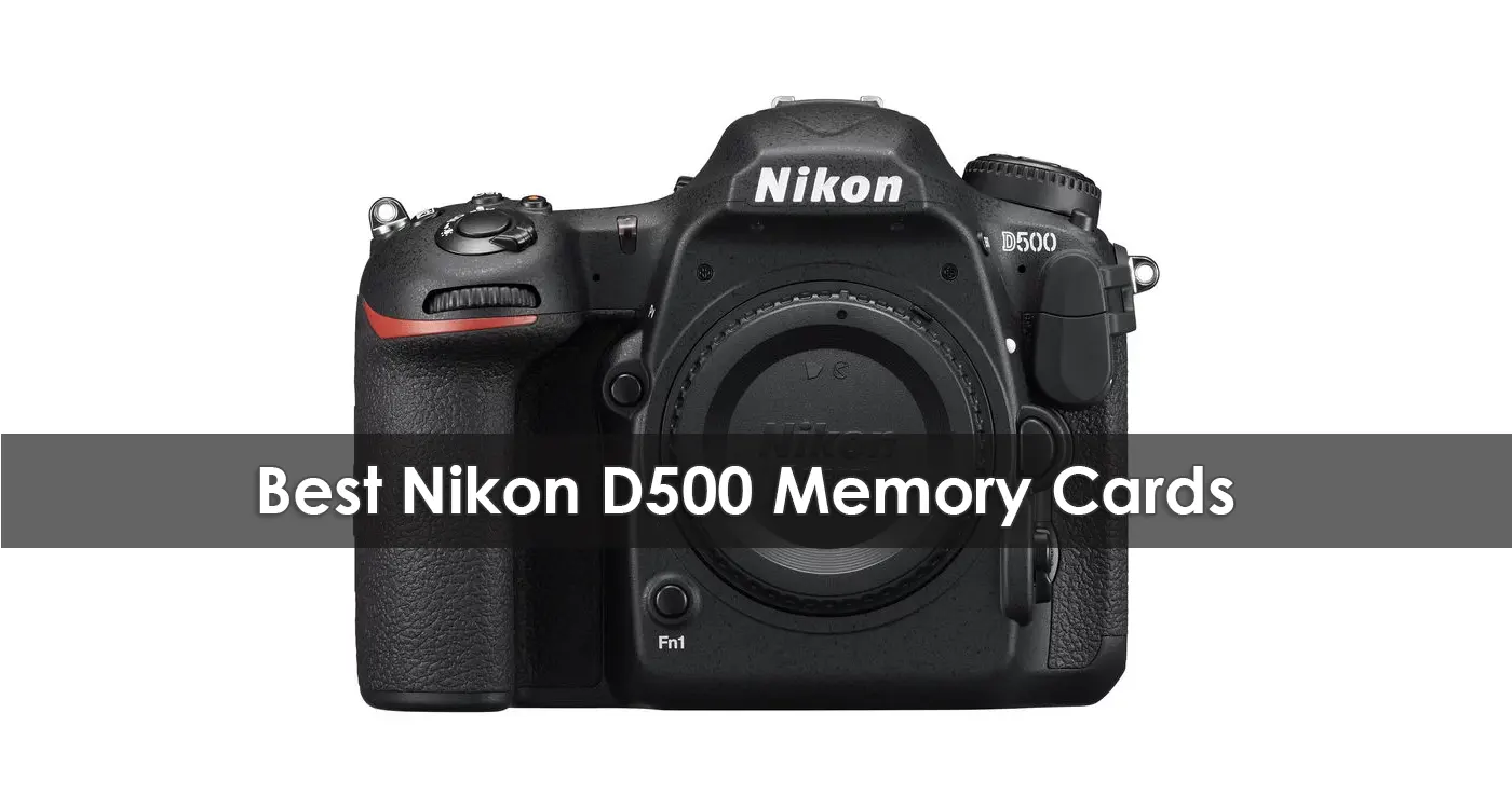 The Best Nikon D500 Memory Cards in 2023