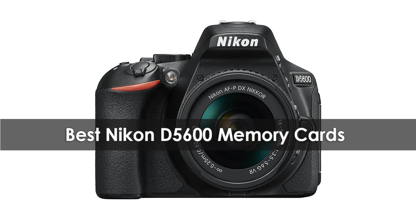 The Best Nikon D5600 Memory Cards in 2023