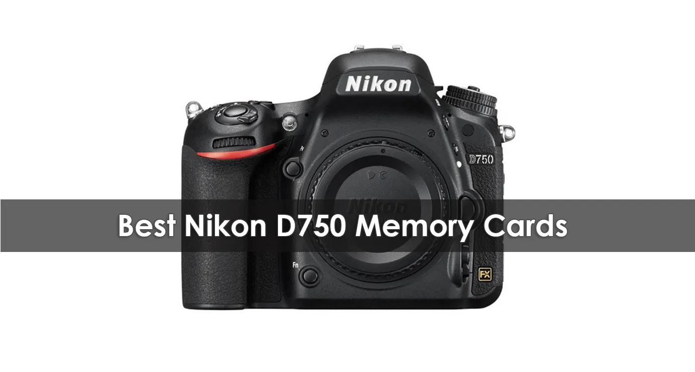 The Best Nikon D750 Memory Cards in 2023